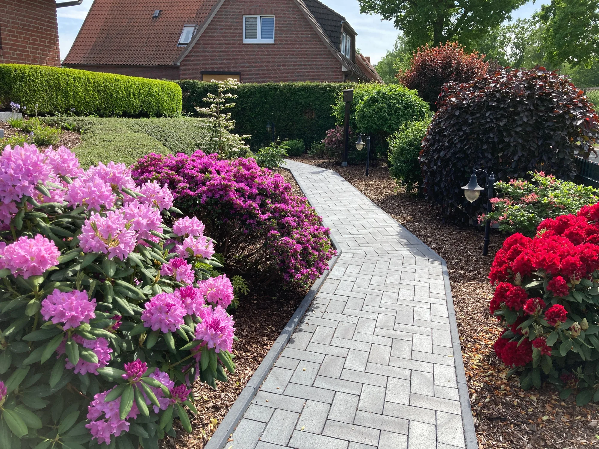 Neuer heller Pflasterweg mit anthrazitfarbener Einfassung zwischen blühenden Rhododendren